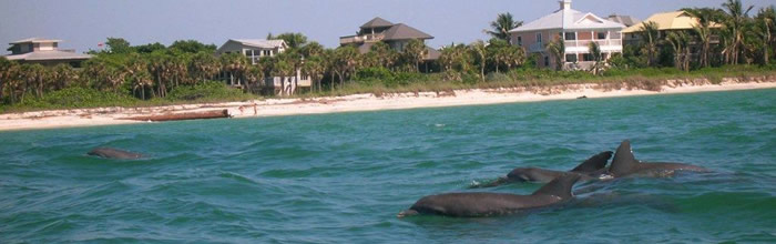 Gulf Access Realty