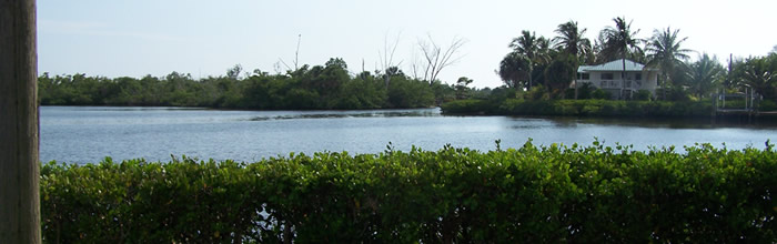 Gulf Access Realty